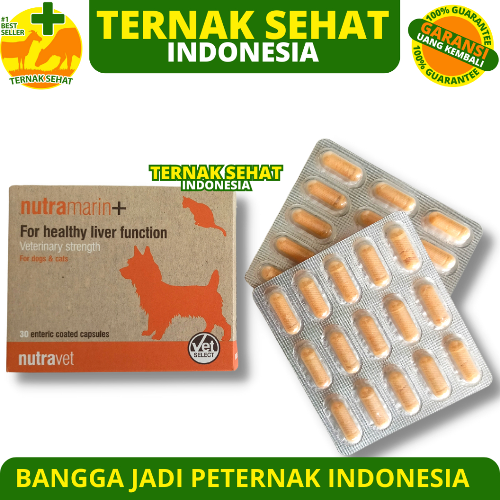 NUTRAMARIN PLUS 1 KAPSUL - Obat Gangguan Liver Hati untuk Kucing & Anjing / Pengganti Samylin & Zent