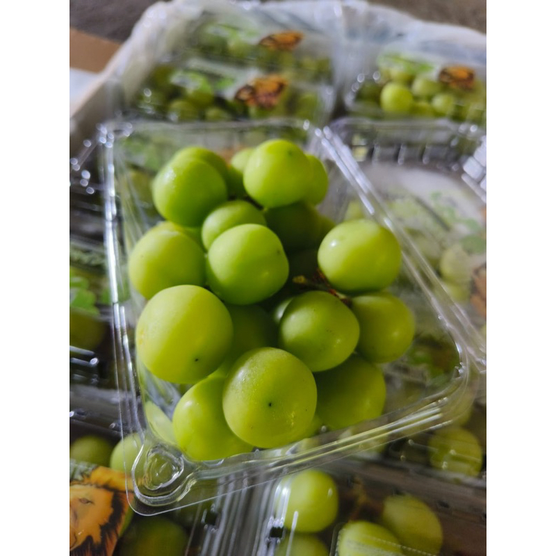 

ANGGUR SHINE MUSCAT PACK 500GR