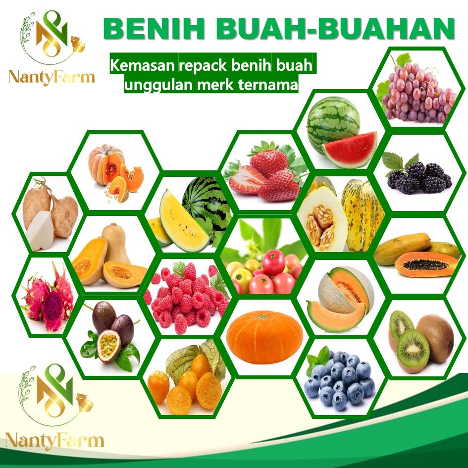 Benih Biji Buah Buahan Unggul Buah Stoberi Strawberry Anggur Melon Semangka Kiwi Bengkuang Blackberr