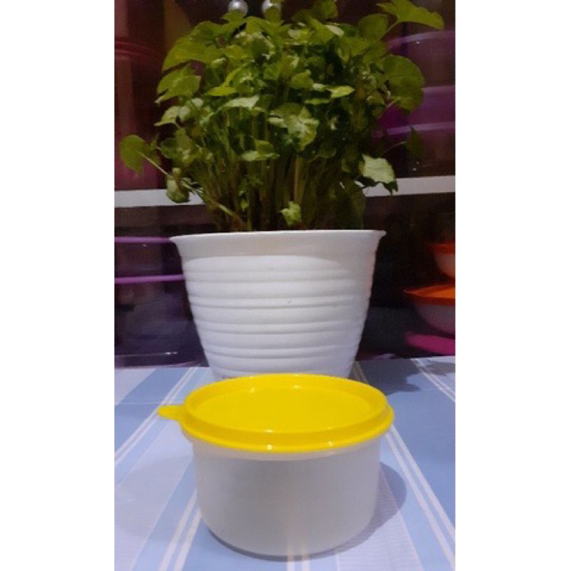 Soup Bowl / Rice Bowl Tupperware