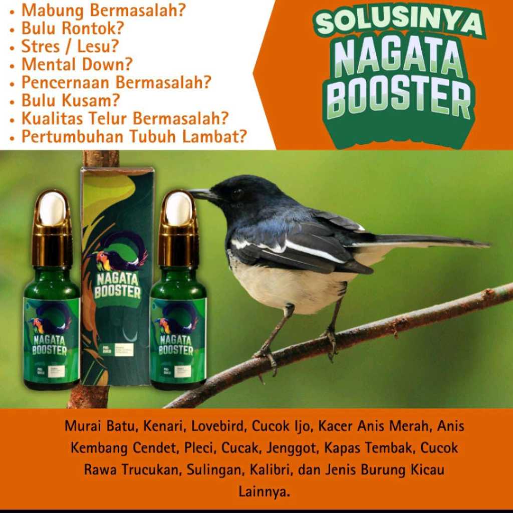 VITAMIN BURUNG NAGATA BOOSTER ORIGINAL - SOLUSI TEPAT ATASI BURUNG MABUNG
