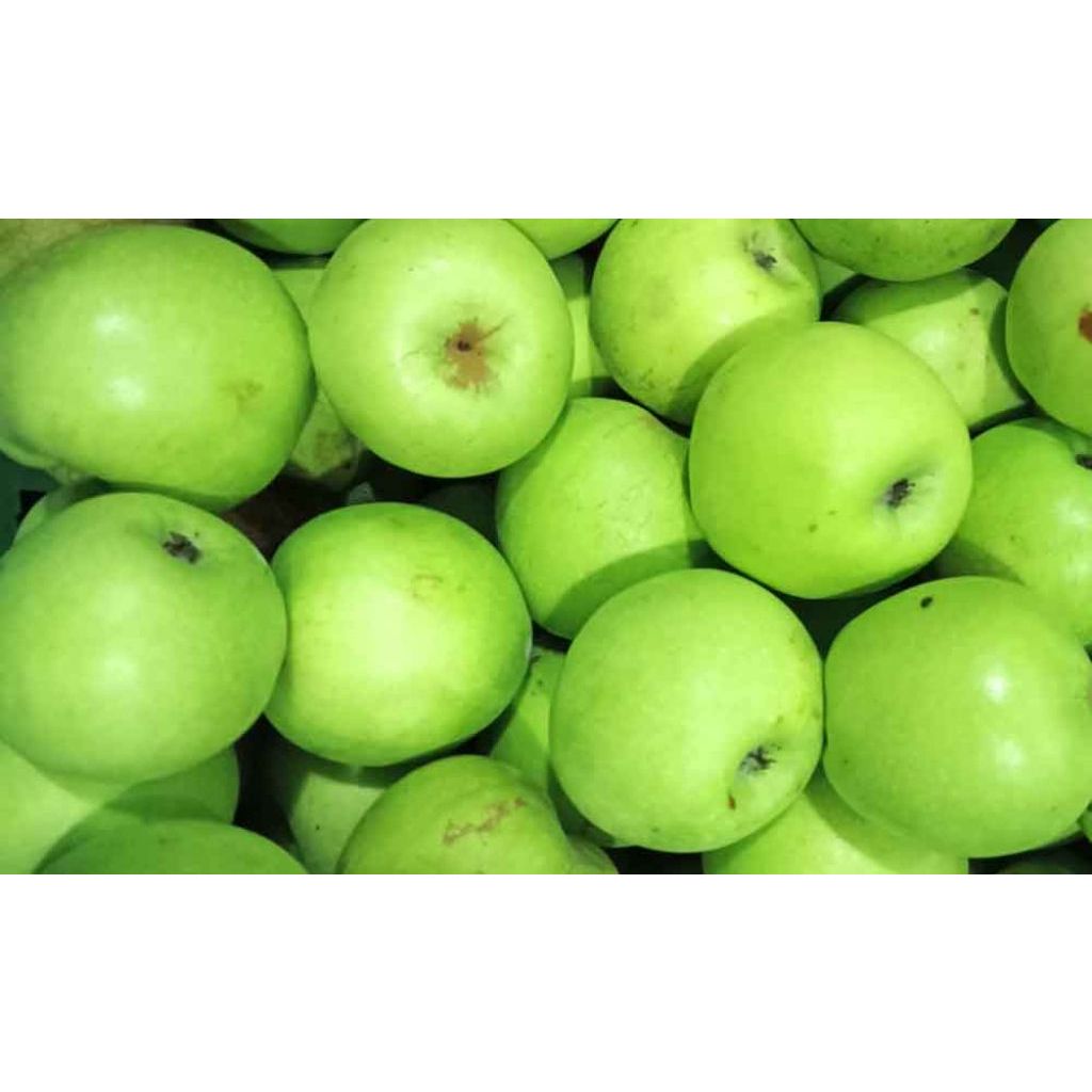 

Buah Apel Manalagi per pack isi 7-8 pcs, Buah Fresh Same Day Delivery Jogja