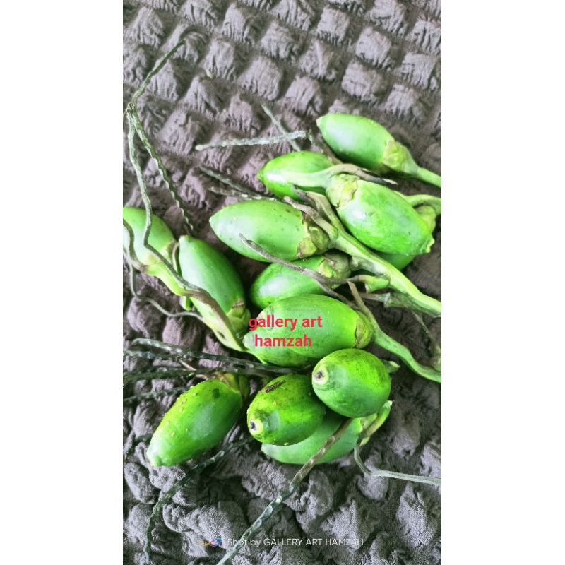 

buah pinang muda/Jambe asli 1 kg