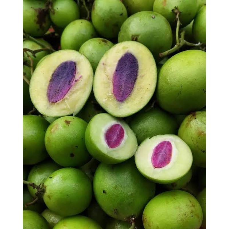 

Buah Gandaria jatake 500 / 1 kg