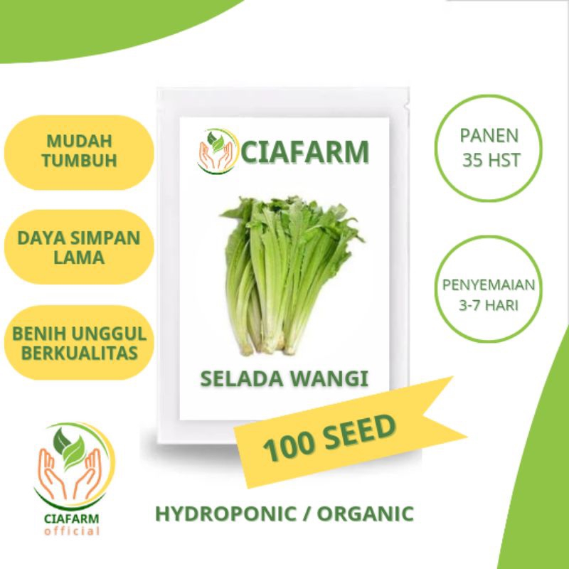 selada wangi/siomak/fumak