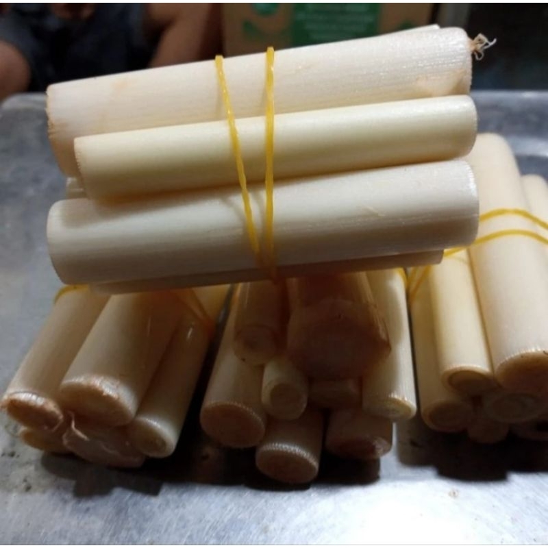 

Batang rias/kincung/kecombrang 1 ikat