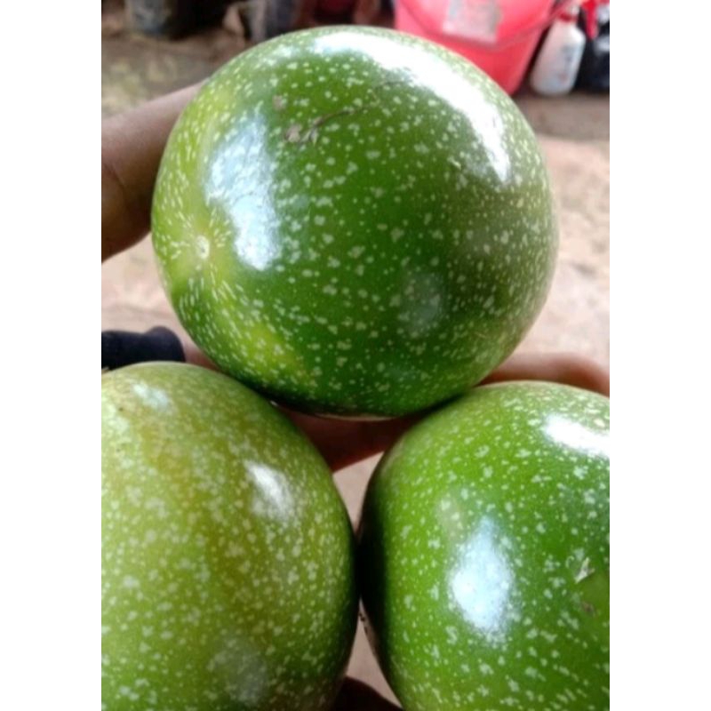 

BUAH MARKISA ASAM SEGAR per 1 kg