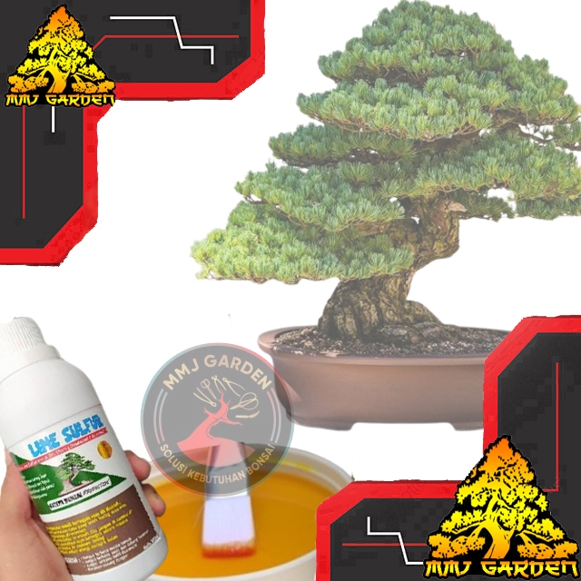 MMJ GARDEN-ALAT BONSAI LIME SULFUR bonsai untuk JIN BATANG MATI 100 ML