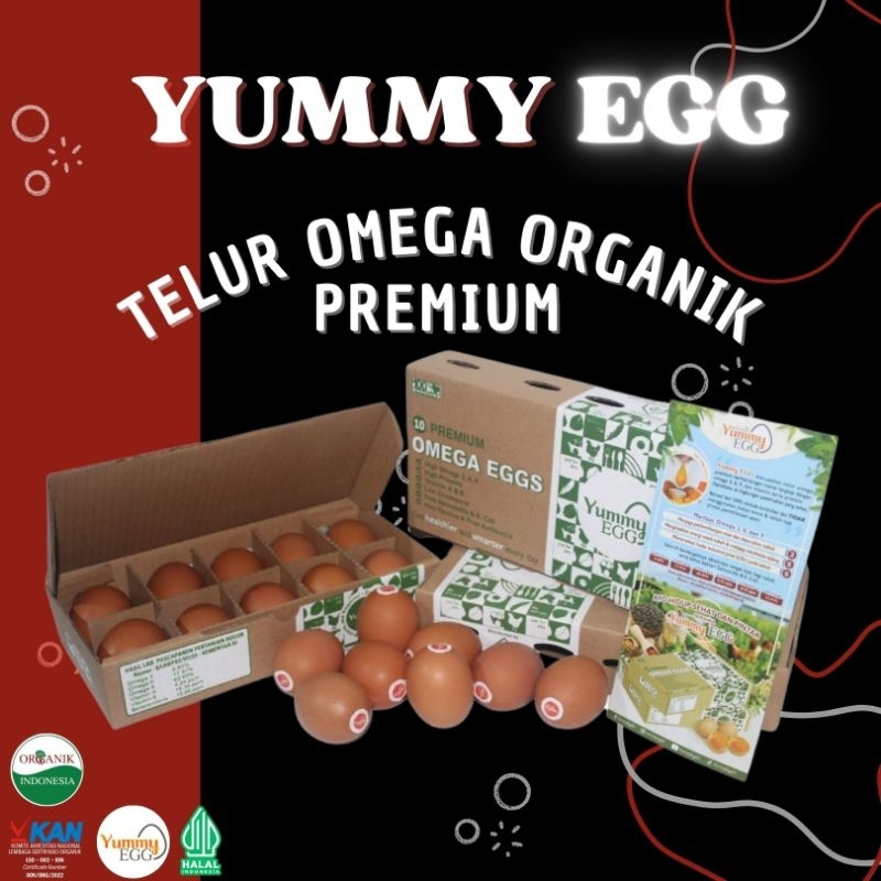 

TELUR AYAM ORGANIK OMEGA / KEMASAN ECOBOX ISI 10 butir