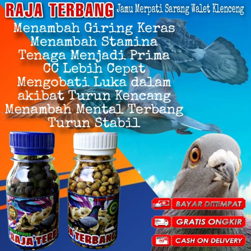 JAMU MERPATI KOLONG RAJA TERBANG TINGGI ISI 100 pil hitam raja pukul stut door doping merpati balap 