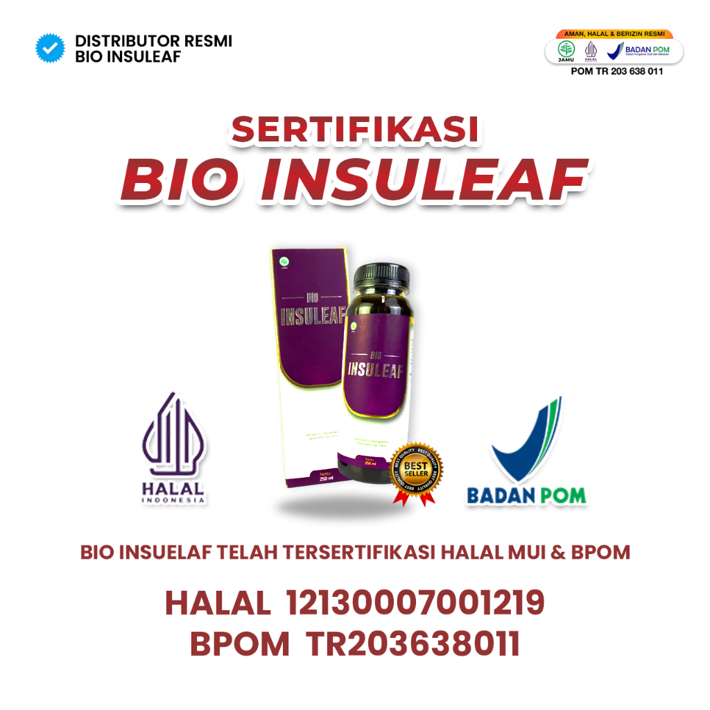 

Bio Insuleaf Herbal Diabetes Ori COD Minuman Herbal Kemasan Botol Plastik 250ML