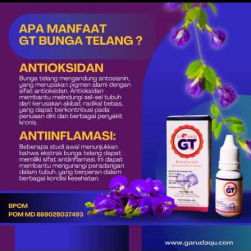

GT garudaqu Minuman Bunga Telang