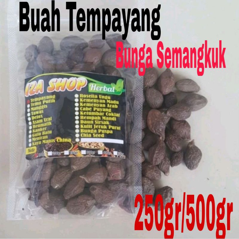 

Tempayang/Kembang Semangkuk 500gr