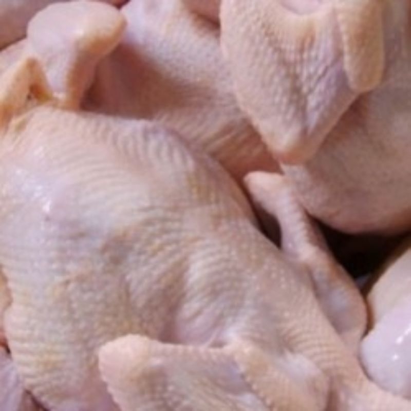 

Ayam boiler fresh bersih siap masak | 1KG bersih