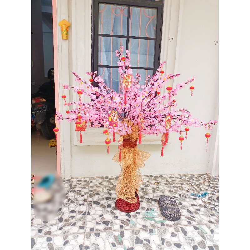 pohon sakura hadiah Imlek bunga sakura Medan pohon imlek medan parcel imlek