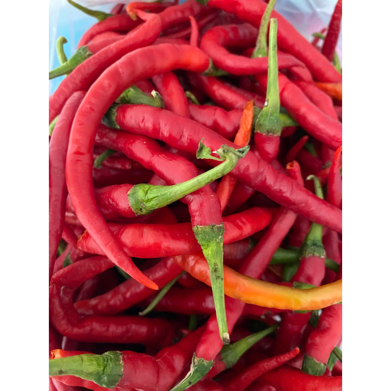 

Cabe Merah Besar 500gr