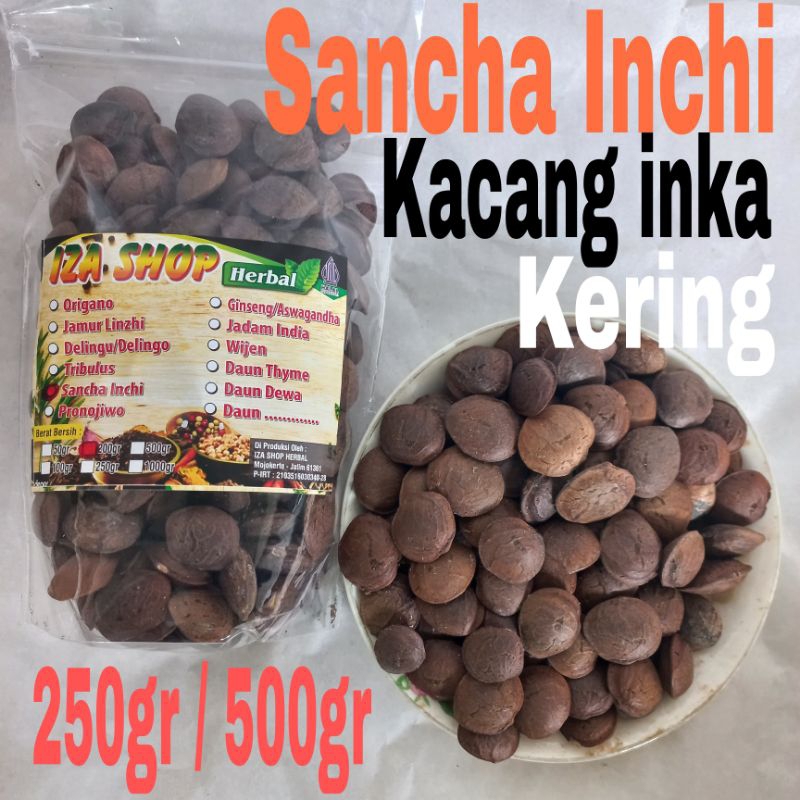 

Sancha Inchi/Kacang Inka Kering 500gr