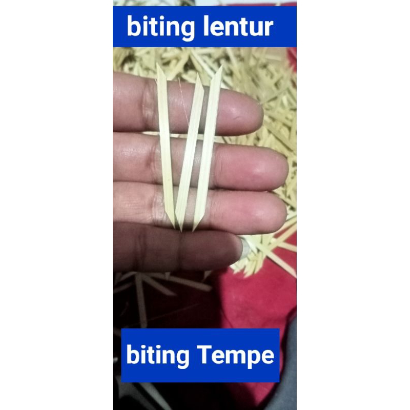 Biting Tempe daun