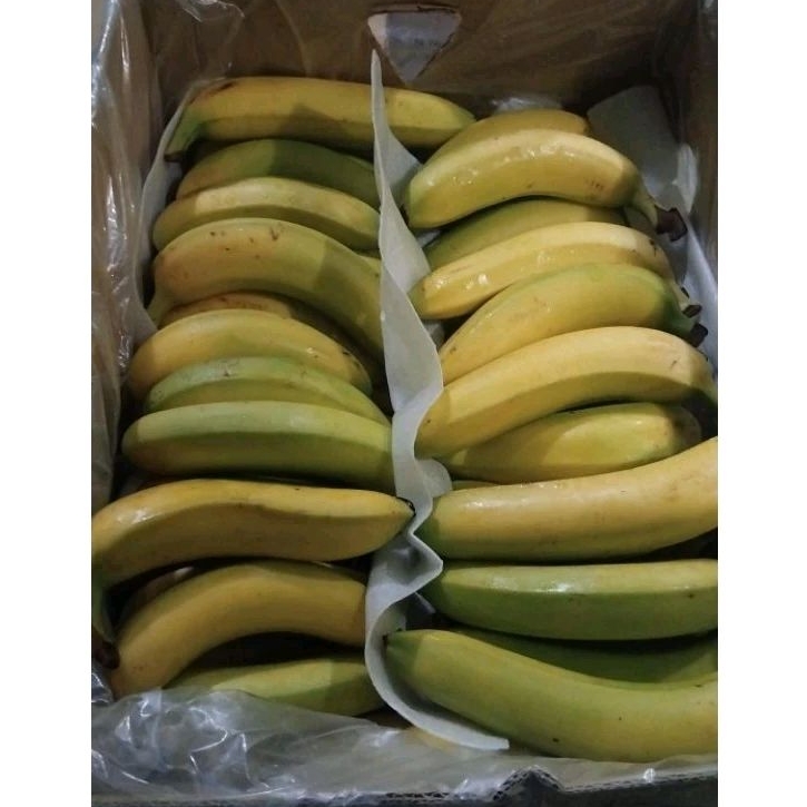 

Indukbuah Buah Pisang Sunpride Size Besar ±70 1 Dus 13kg