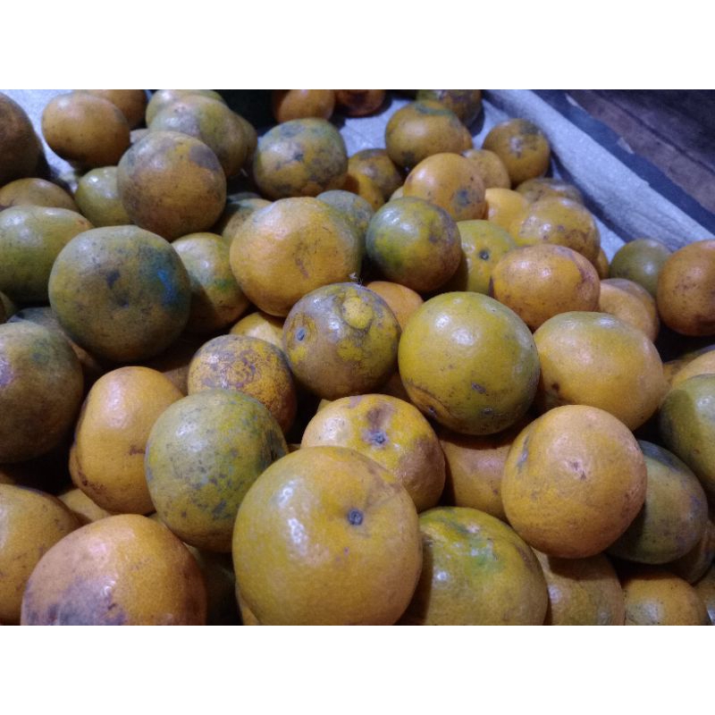 

Jeruk Lokal 1 Kilogram