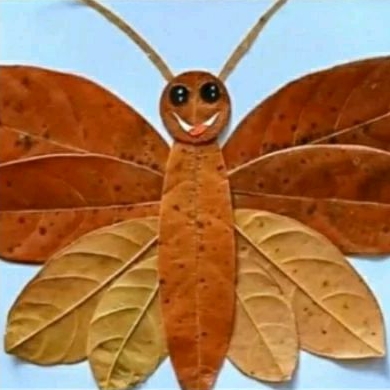 Daun kolase,daun kering khusus untuk kolase,art,dekorasi,craft,maple dll,per 20 lembar