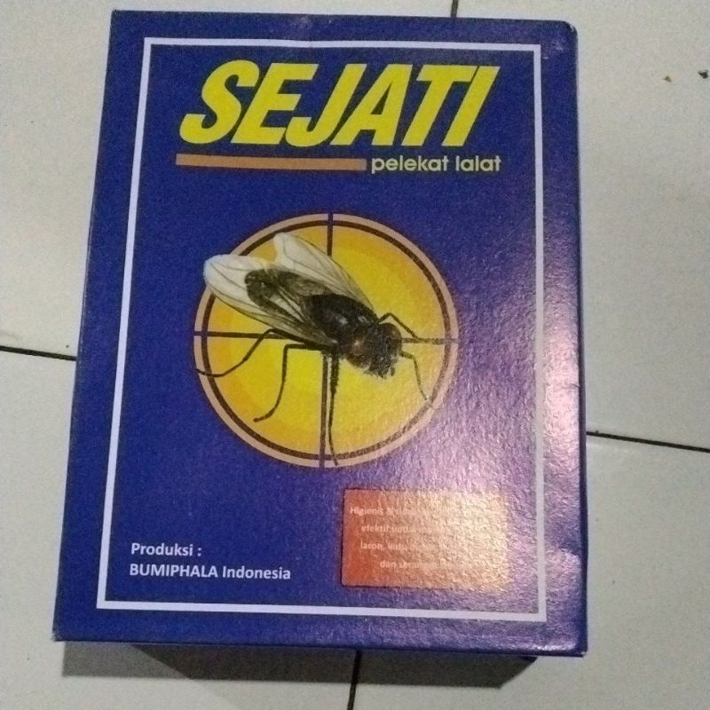 

lem lalat SEJATI isi 10 pack 100 pcs