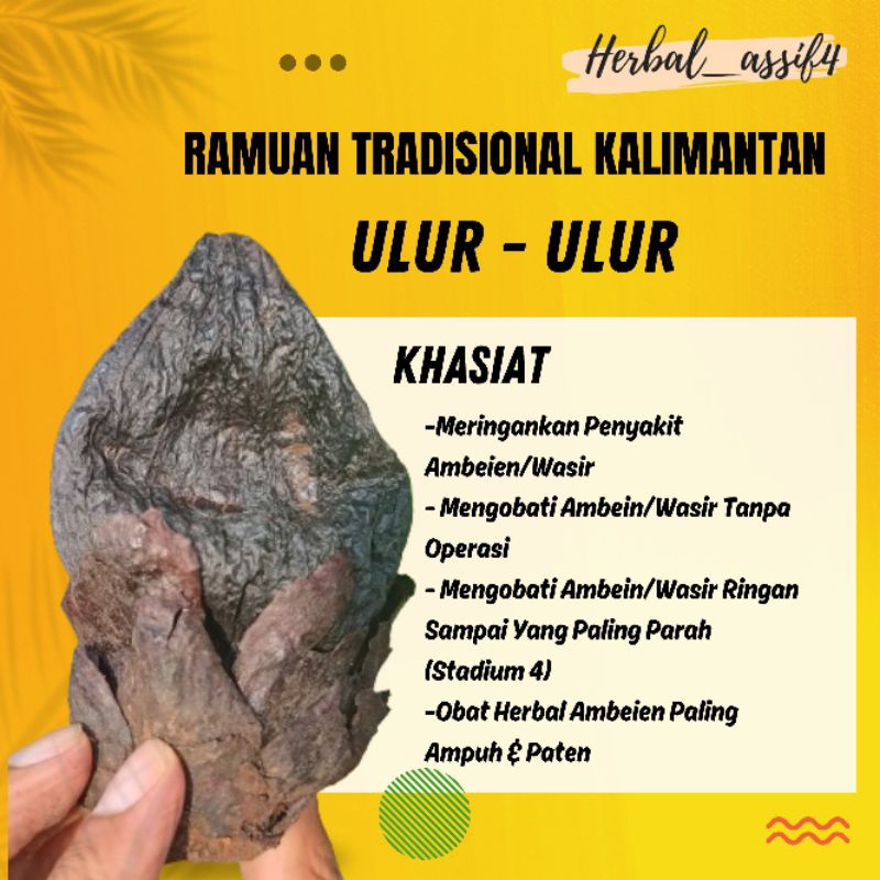 

ULUR ULUR | RAMUAN TRADISIONAL KALIMANTAN UNTUK AMBEIN