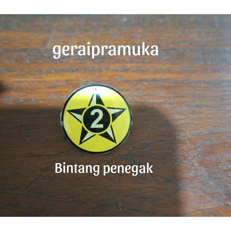Bintang 2 Tahunan Penegak
