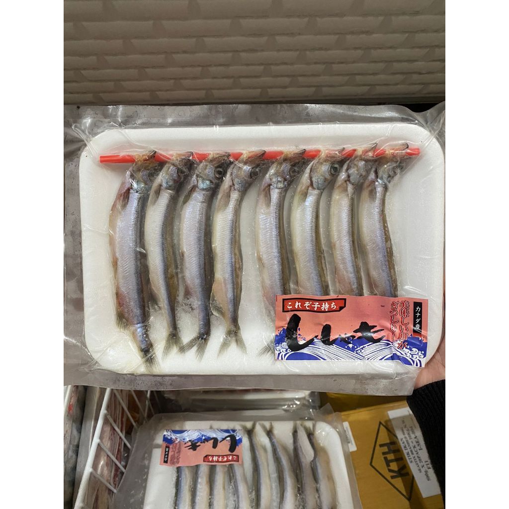

SHISAMO FISH IKAN SHISAMO CAPELIN FROZEN
