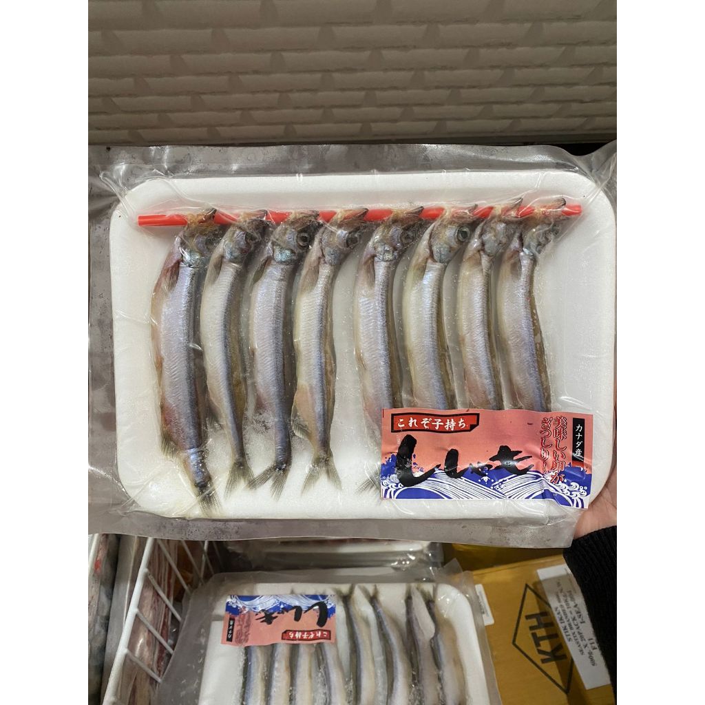 SHISAMO FISH IKAN SHISAMO CAPELIN FROZEN