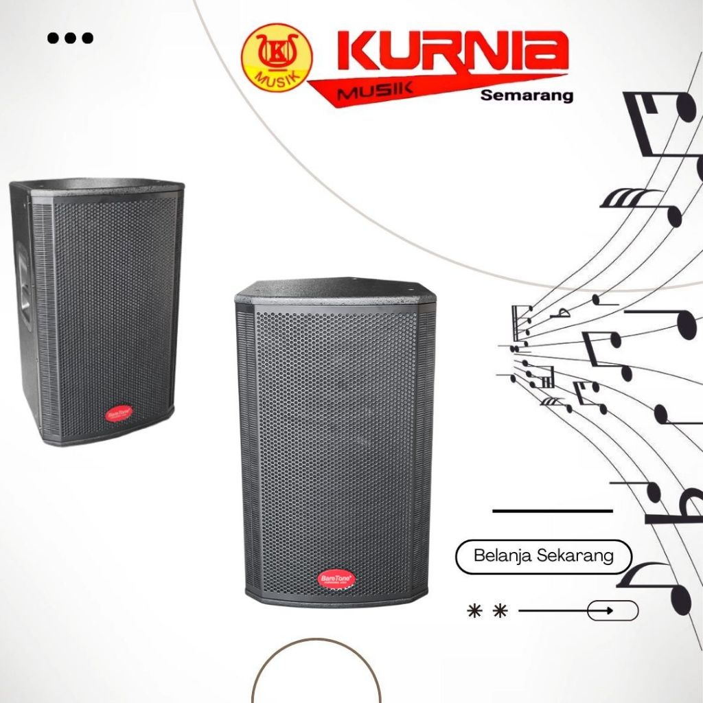 Baretone MAX 15RP / MAX15RP / MAX 15 RP Speaker Aktive 15"