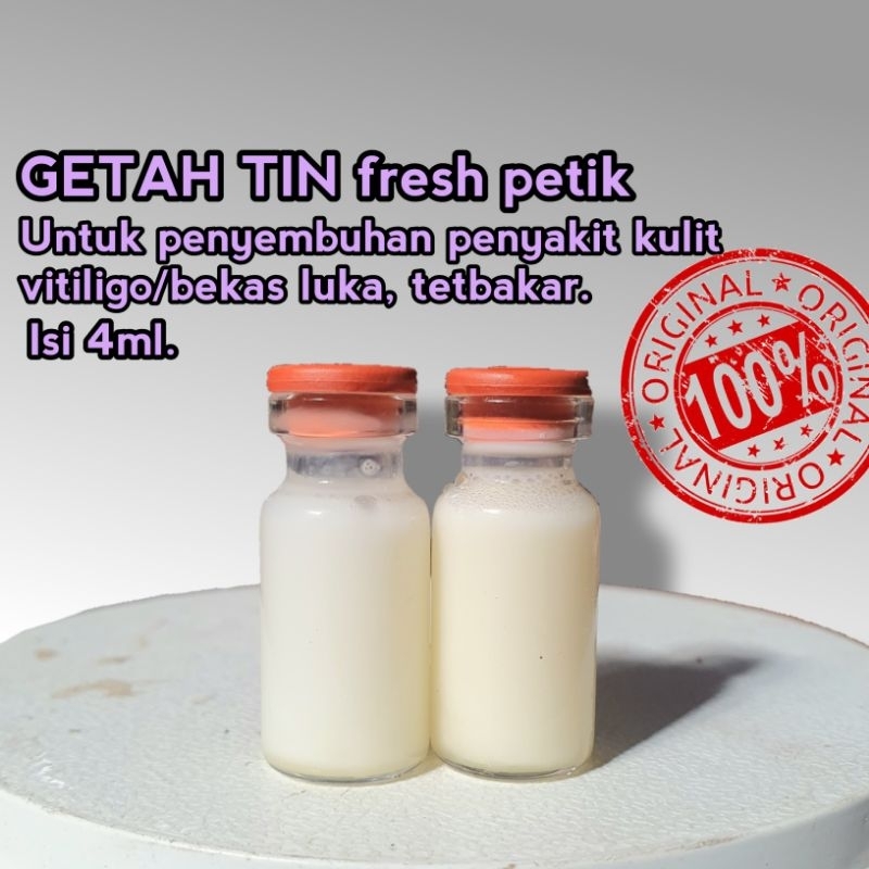 Buah_TIN_GETAH_TIN-PALING_MURAH_GETAH_TIN_UNTUK_LUKA_KULIT_LUAR