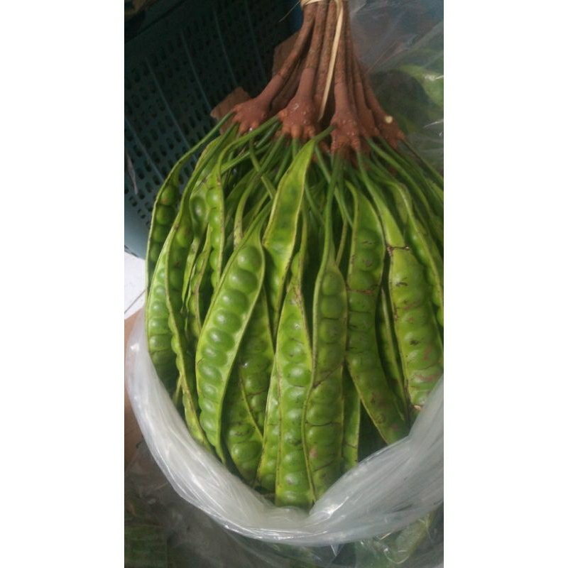 

PETE SORTIR APA ADANYA 5PCS KHUSUS LIVE