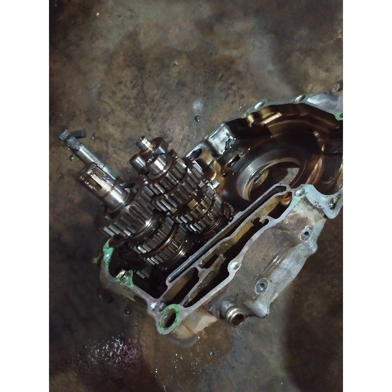 Rasio Transmisi Tiger Revo Tiger 2000 original copotan