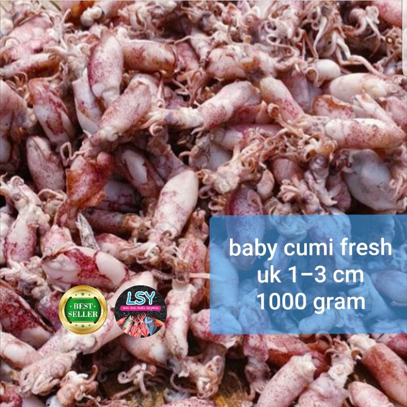 

Grosiran Murah ikan asin baby cumi cumi asin cumi rebus 78 berat 1kg murah