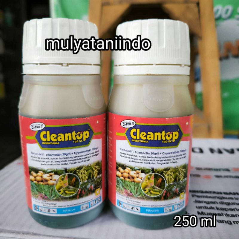 Cleantop insektisida Clean top 250 ml