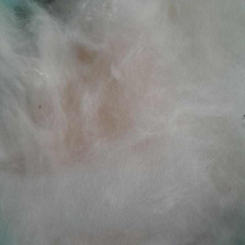 Feraristore Kapuk Randu Kiloan Bersih Tanpa Biji / Kapuk Randu Kiloan Asli Tanpa Biji