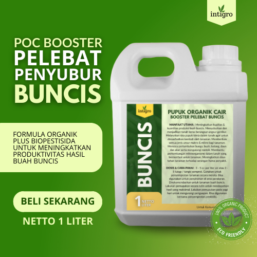 Pupuk Buncis / Pupuk Semprot Pelebat Tanaman Buncis / Pupuk Perangsang Pada Tanaman Buncis / Obat Pe