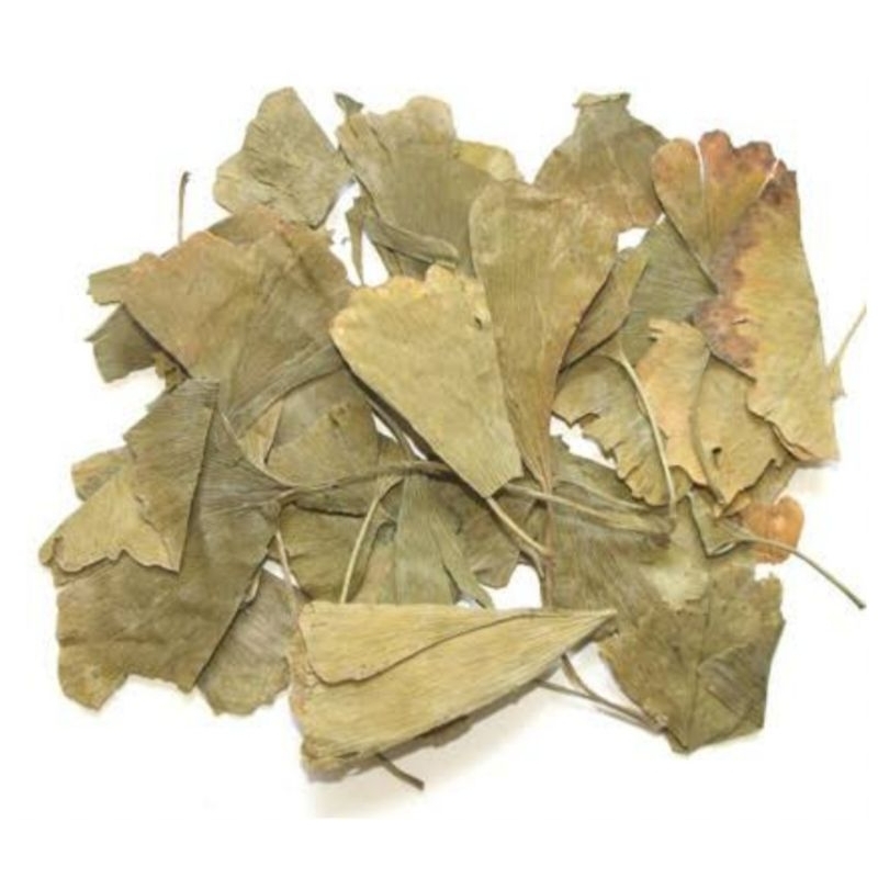 

Daun Ginkgo Biloba 100 Gram - Yin Xing Ye 銀杏葉 Folium Leaf Ginkgobiloba