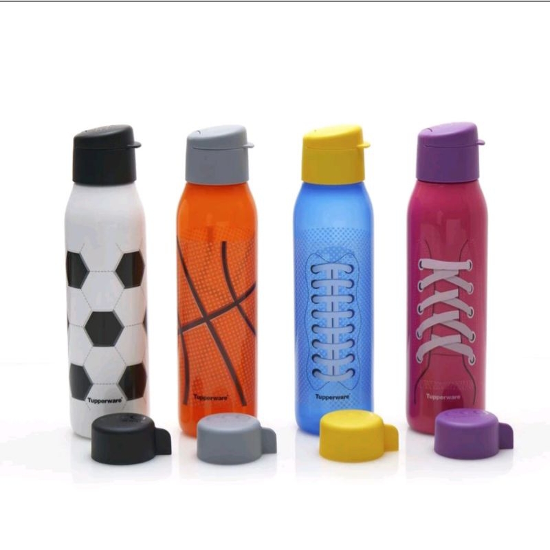 Eco bottle fancy 500ml tutup flip top free tutup ulir