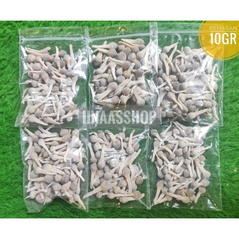 

MPOT AYAM PUTIH MADURA ORIGINAL 10 gram