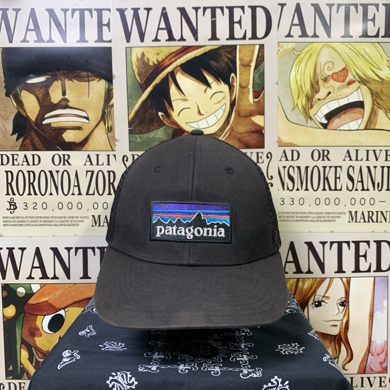 Topi Trucker Patagonia P-6 Logo Lopro