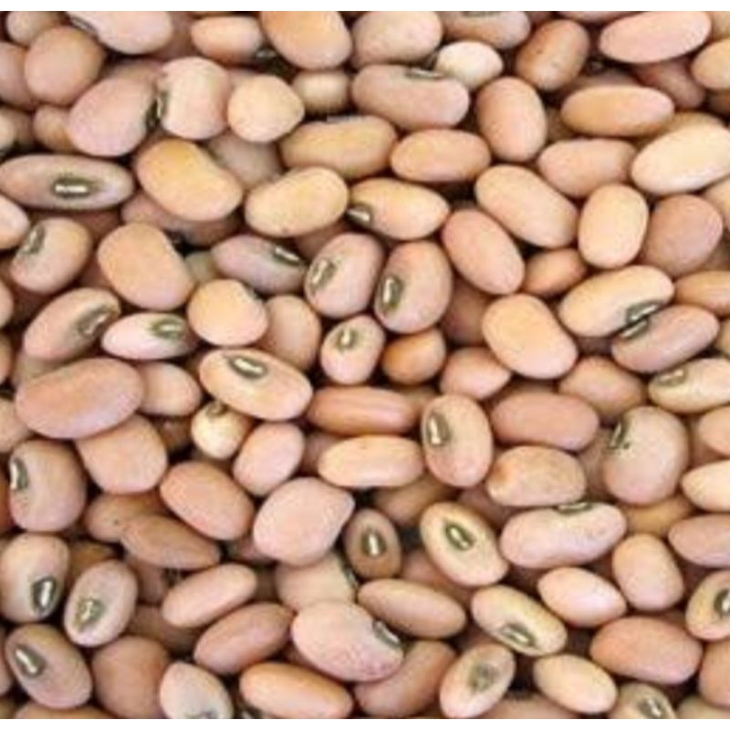 

kacang Tolo/kacang tunggak 500gram