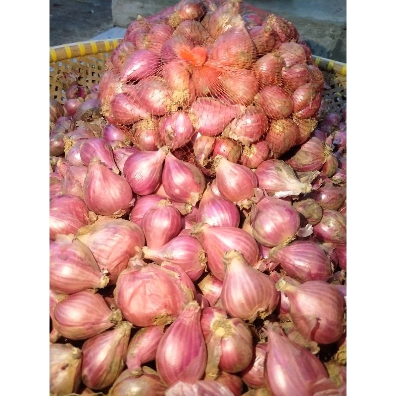 

bawang merah asli brebes 1kg