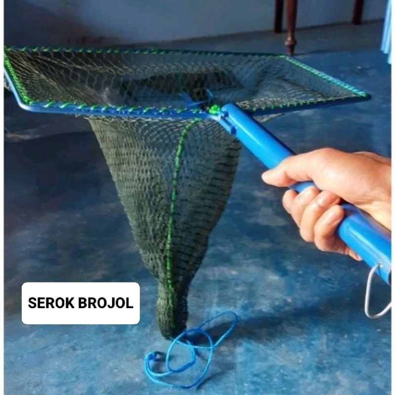 Serok brojol ikan lele dan jumbo