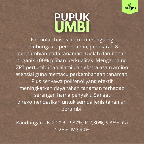 _Adudushop Pupuk Talas / Pupuk Pembesar Umbi Talas / Pupuk Umbi Talas / Pupuk Booster Pembesar Umbi