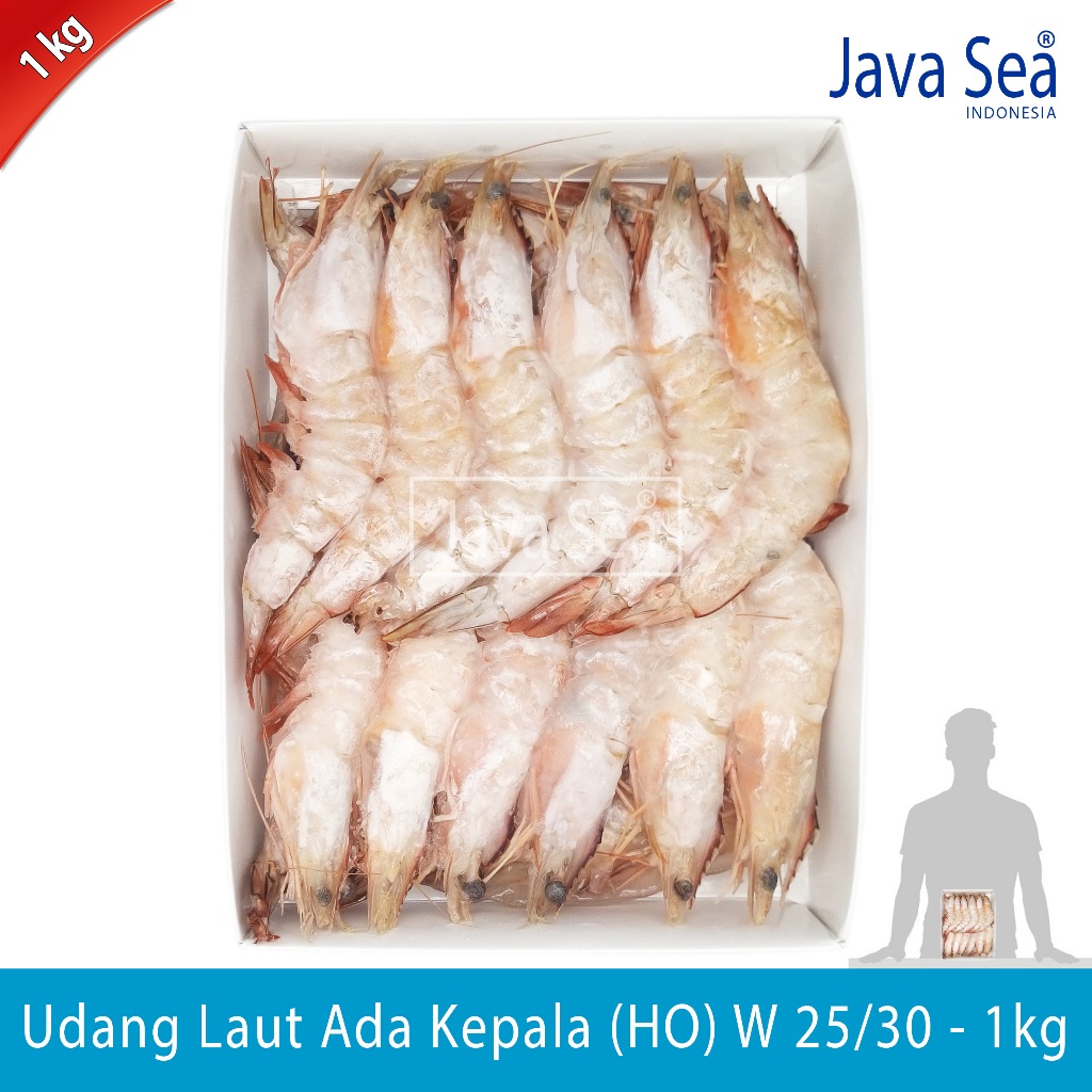 

Udang Laut Utuh Ada Kepala HO W 25/30 pack 1kg Java Sea