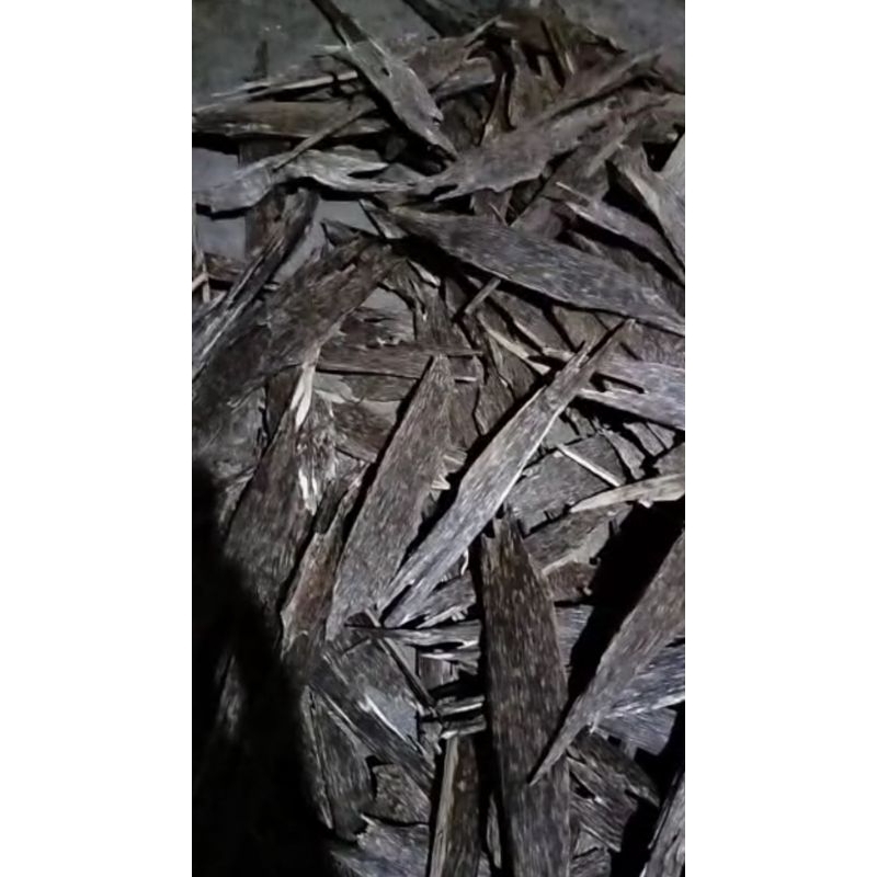 KAYU GAHARU CHIF AB SUPER /A SUPER