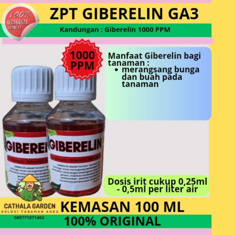 ZPT HORMON GIBERELIN GA3 1000 ppm KEMASAN 100 ML | HORMON TANAMAN UNTUK MEMICU BUNGA DAN BUAH TANAMA