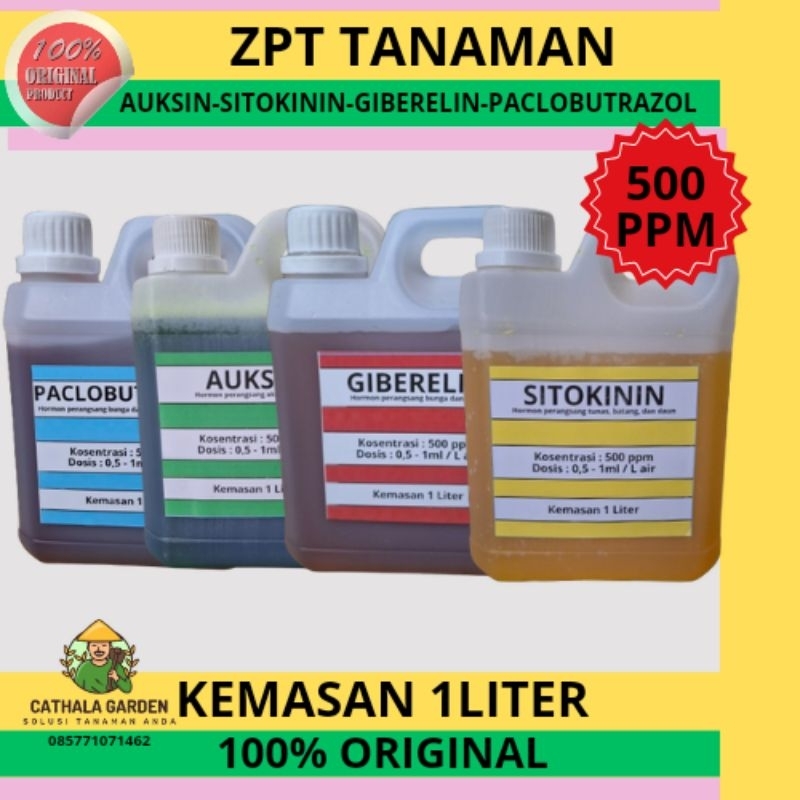 ZPT HORMON TANAMAN 500 PPM KEMASAN 1 LITER AUKSIN SITOKININ GIBERELIN PACLOBUTRAZOL
